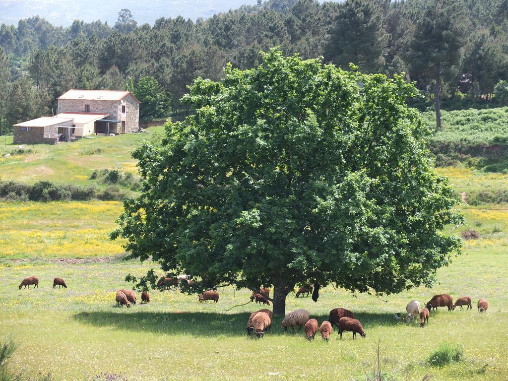 Quinta Da Cerdeira Villa Seia Bagian luar foto