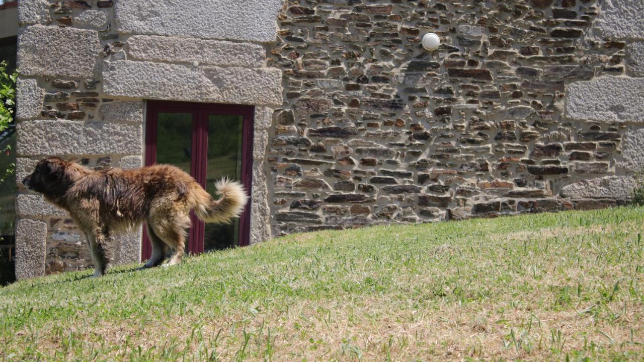 Quinta Da Cerdeira Villa Seia Bagian luar foto